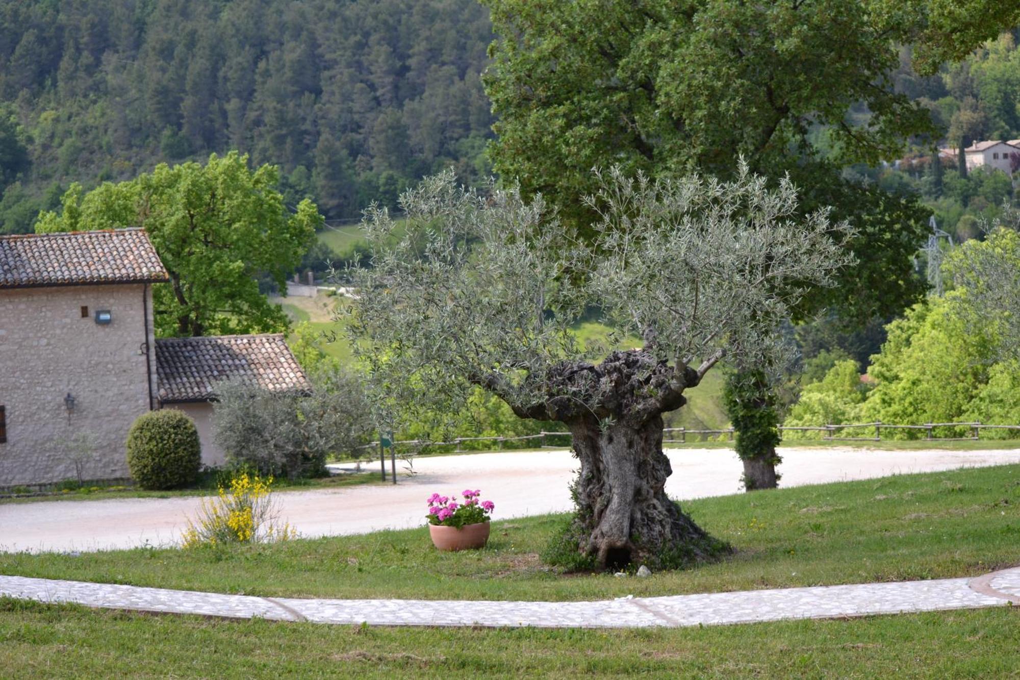 Valle Rosa Spoleto Exterior foto